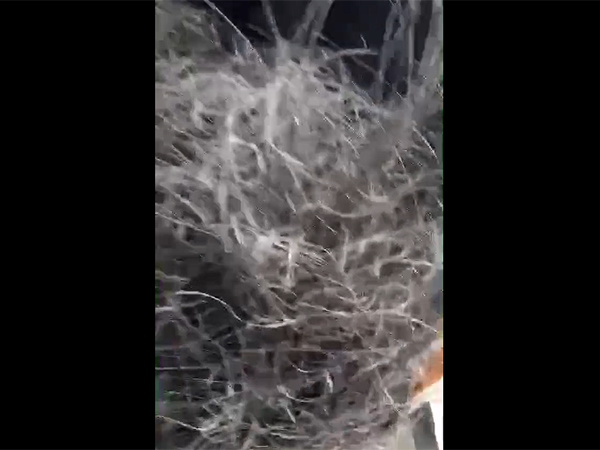 廢輪胎煉油設備